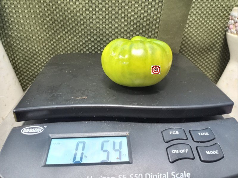 Dwarf Emerald Giant Tomato Container Tomatoes Dwarf Emerald Giant Tomato Container Tomatoes