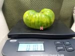 Dwarf Emerald Giant Tomato Large Tomatoes