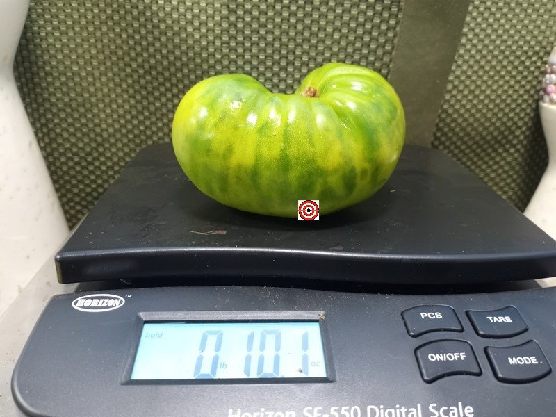 Dwarf Emerald Giant Tomato Large Tomatoes Dwarf Emerald Giant Tomato Large Tomatoes