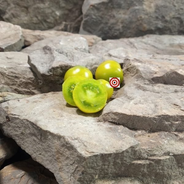 Dwarf Fat Frog Micro Tomato