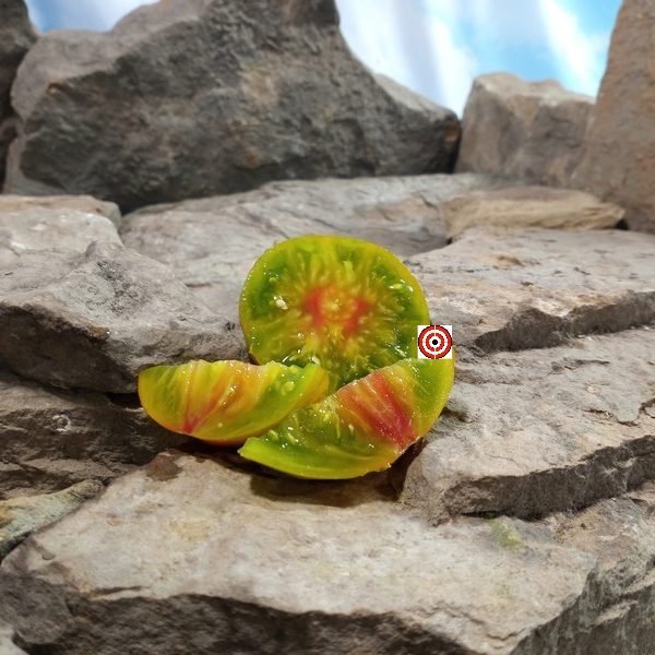 Dwarf Funky Viper Tomato Seeds