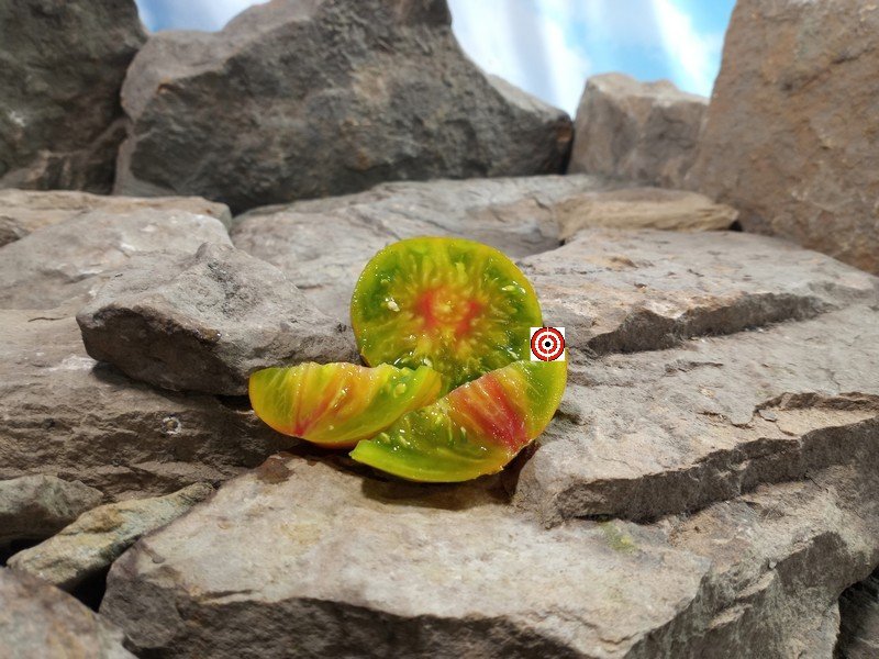 Dwarf Funky Viper Tomato Seeds
