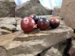 Dwarf Gondwana Lava Tomato Blue Tomatoes