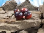 Dwarf Gondwana Lightning Tomato