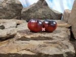 Dwarf Gondwana Lightning Tomato The Dwarf Tomato Project