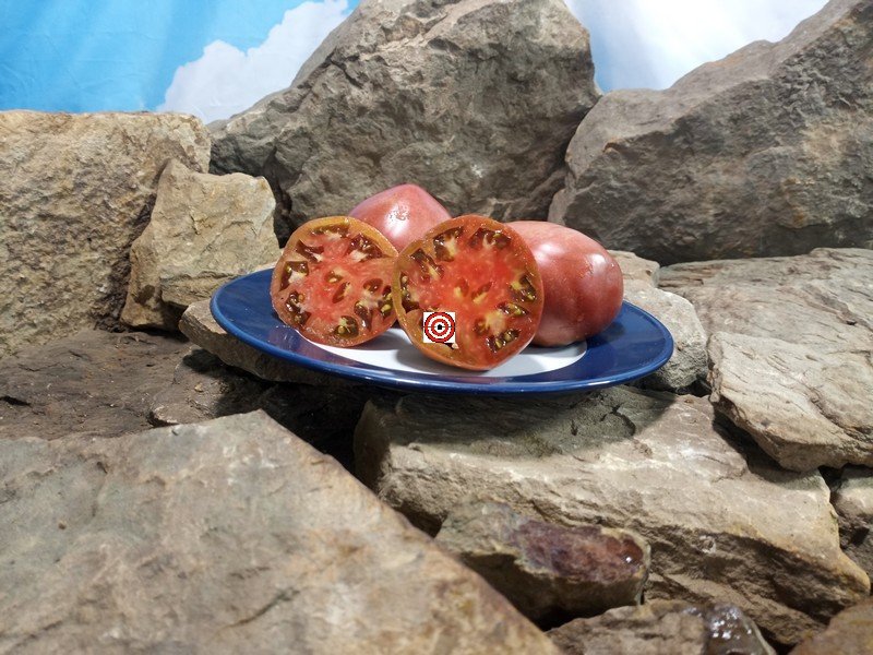 Dwarf JPS Special Tomato