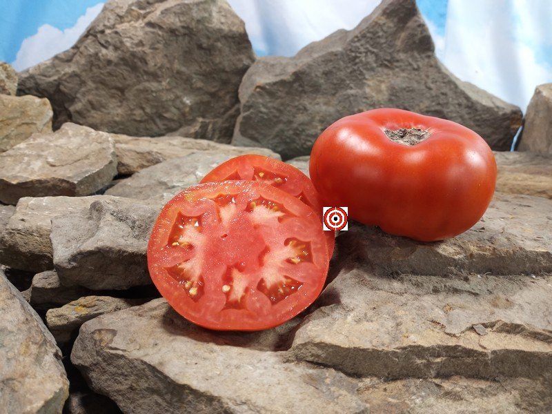 Dwarf Maliniak Tomato Seeds Dwarf Maliniak Tomato Seeds