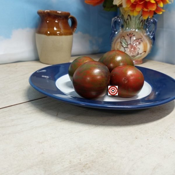 Dwarf Shadow of Death PL Tomato