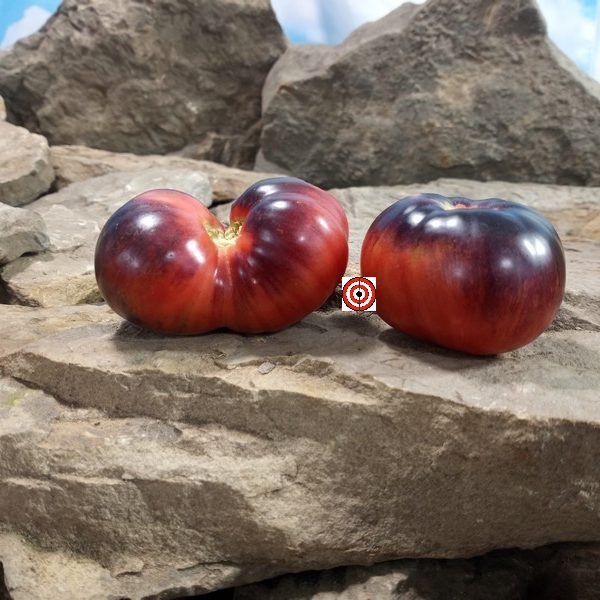 Dwarf Showstopper Tomato