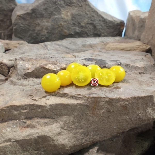 Dwarf Sweet n Neat Yellow Micro Tomato