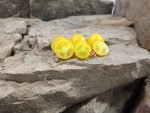 Dwarf Sweet n Neat Yellow Micro Tomato Cherry Tomatoes