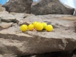 Dwarf Sweet n Neat Yellow Micro Tomato Seeds