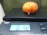 Everything Counts In Large Amounts Tomato Seeds