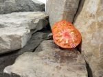 Everything Counts In Large Amounts Tomato Striped Tomatoes