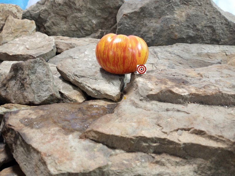 Everything Counts In Large Amounts Tomato