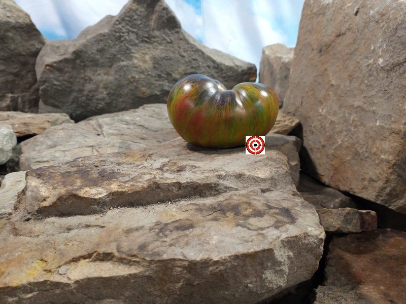 Fascination Street Tomato