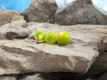 Fat Frog Micro Dwarf Tomato