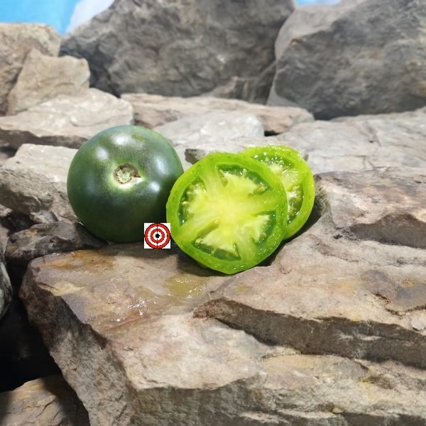 Georgia Green Tomato