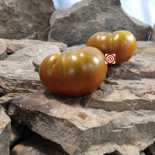 Goose Creek Black Tomato
