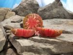 Goose Creek Black Tomato Beefsteak Tomatoes