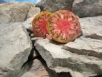 Goose Creek Black Tomato Heirloom Tomatoes
