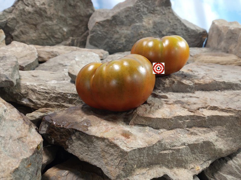 Goose Creek Black Tomato