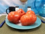 Grannys Throwing Tomato