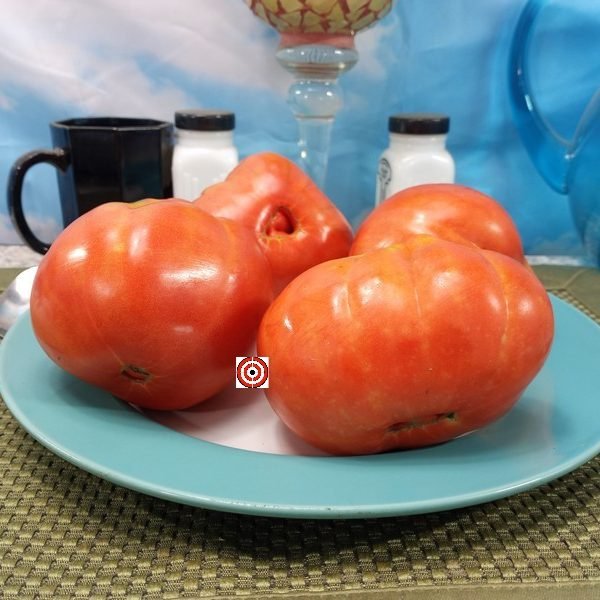 Grannys Throwing Tomato