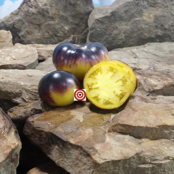 Halo Tomato