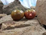 Hearts Delight Black Tomato