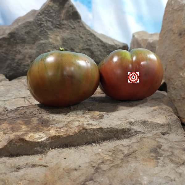 Hearts Delight Black Tomato