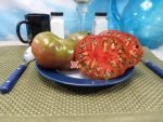 Hearts Delight Black Tomato Heirloom Tomatoes
