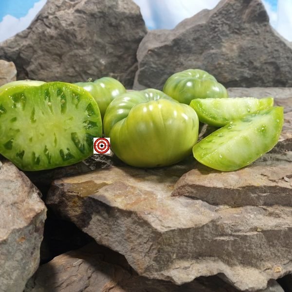 Hold Back The Rain Tomato