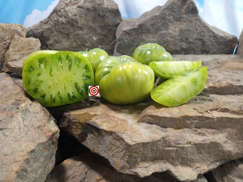 Hold Back The Rain Tomato