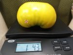 Hughs Tomato