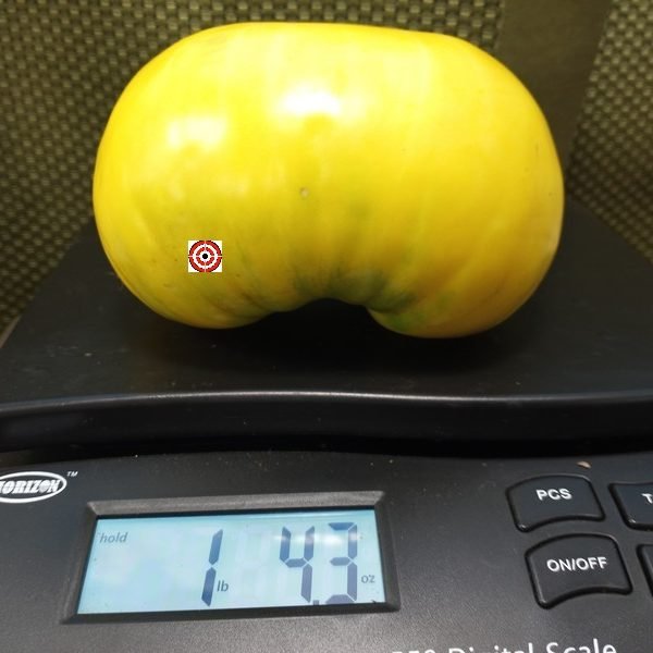 Hughs Tomato