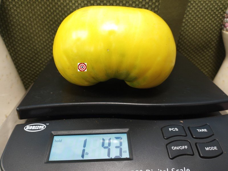 Hughs Tomato
