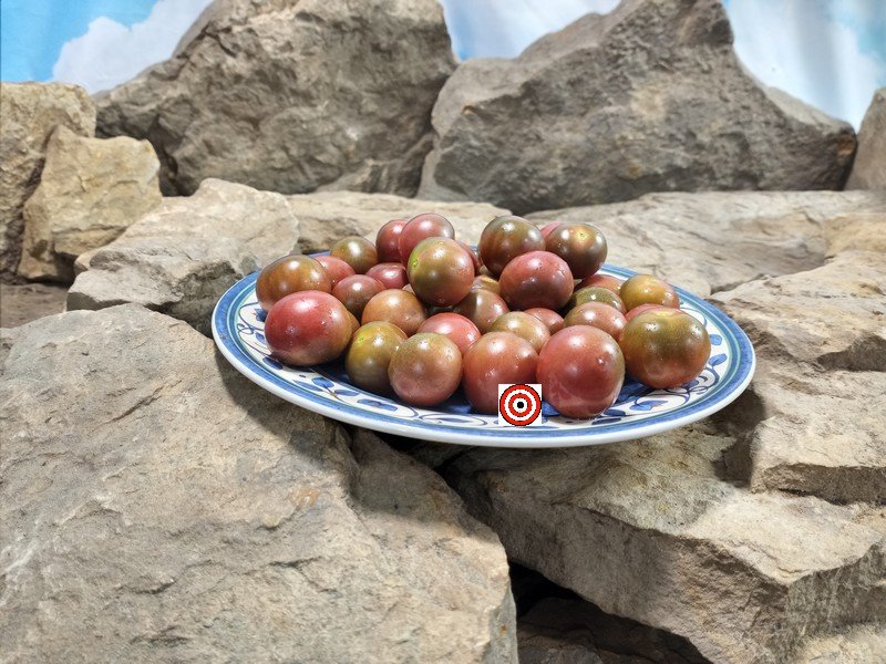 Hungry Like A Wolf Tomato