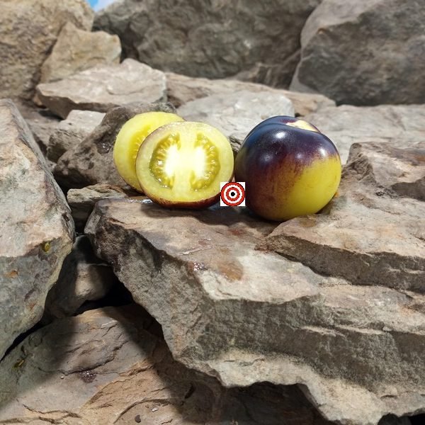 Intergalactic Tomato