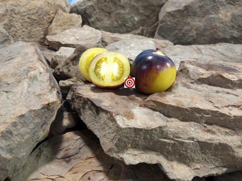 Intergalactic Tomato
