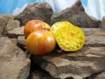 Judson Bicolor Tomato Beefsteak Tomatoes