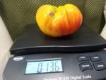 Judson Bicolor Tomato Sandwich Tomatoes