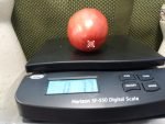 Jungs Giant Oxheart Tomato