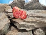 Jungs Giant Oxheart Tomato Canning Tomatoes