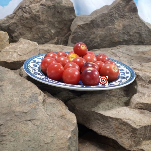 Just Can't Get Enough Tomato
