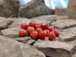 Just Can't Get Enough Tomato Depeche Mode Tomatoes