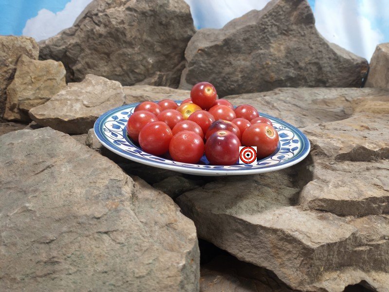 Just Can't Get Enough Tomato