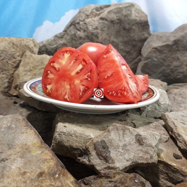 Kansas Depression Tomato