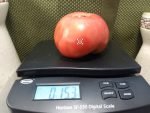 Kansas Depression Tomato Heirloom Tomatoes