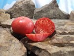 Kansas Depression Tomato Sandwich Tomatoes